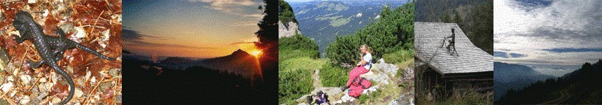 das Allgäu erleben