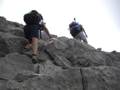 Hochvogel