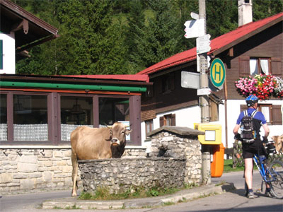 Dorfbrunnen Hinterstein