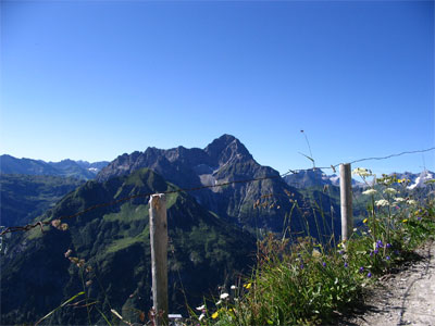 Der Widderstein